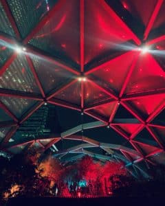 Red symmetry shot on iPhone
