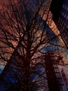 Look up