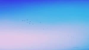 Minimal Sky
