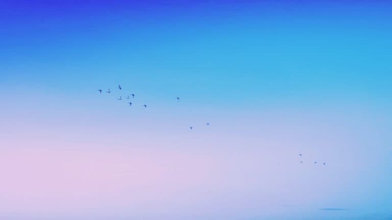Minimal Sky
