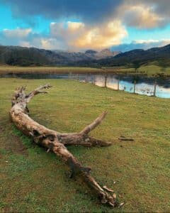 Nature at the Lakes shot on iPhone