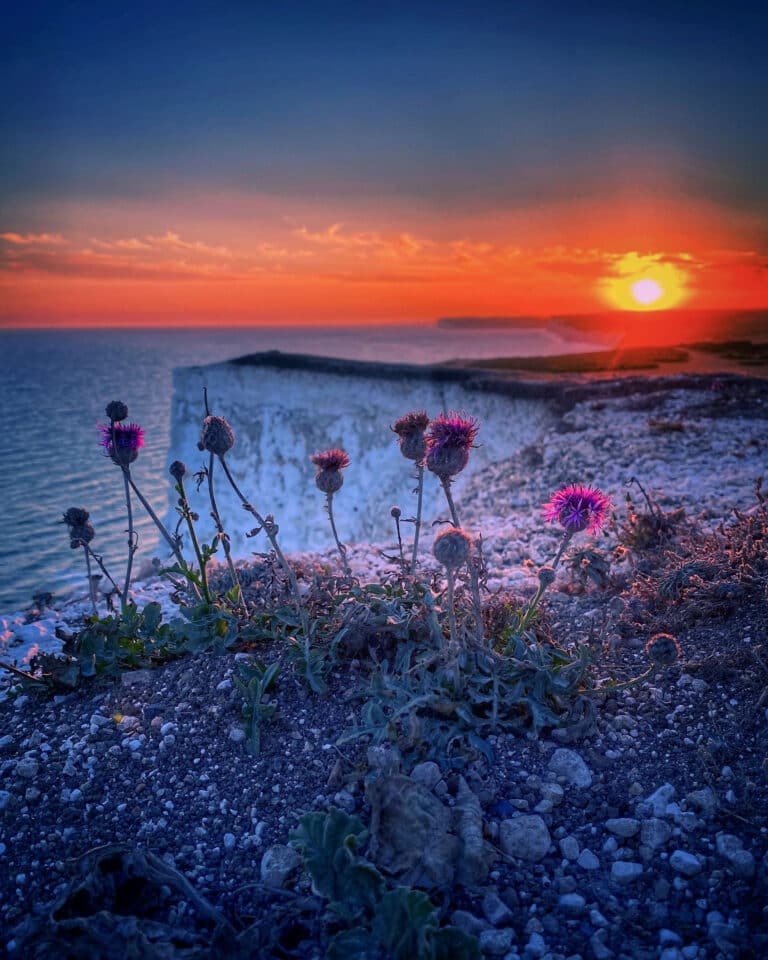 Cliff Edge shot on iPhone